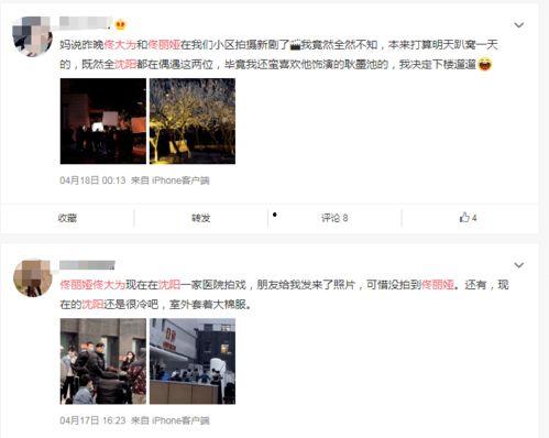 沈阳群p在线视频,沈阳群p在线视频事件回顾与反思